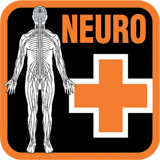 DAN On-site Neurological Assessment for Divers (NEURO)